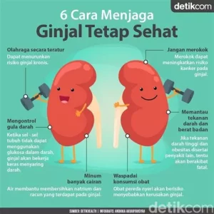 Fungsi Ginjal Menurun? Ini Cara Memperbaikinya Secara Alami