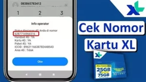 Cara Cek Nomor XL dengan Mudah dan Praktis