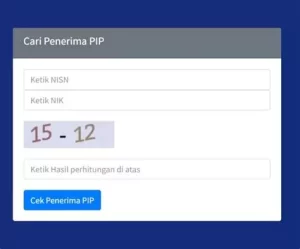 Cara Cek PIP Lewat HP dengan Mudah