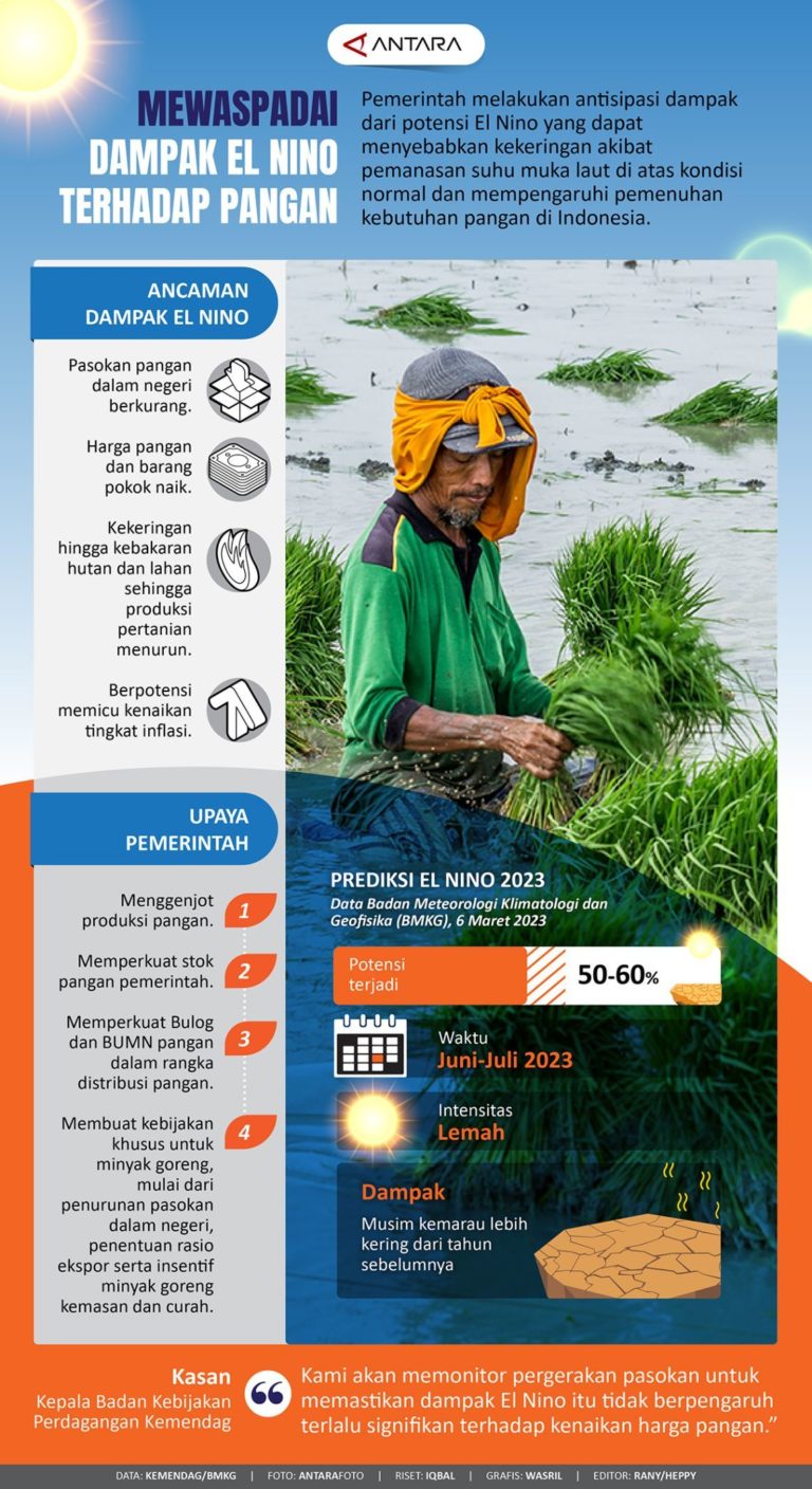 BAPANAS Siapkan Rencana Darurat: Bagaimana Pemerintah Akan Tahan Dampak El Niño 2026