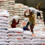 BULOG Pastikan Penyerapan 4 Juta Ton Beras 2026 Tercapai, Stok Aman Hadapi El Nino