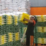 Bulog Target Serap 4 Juta Ton Beras 2026, Stok Ngawi Melimpah: Jaminan Pasokan Aman Tiga Bulan ke Depan