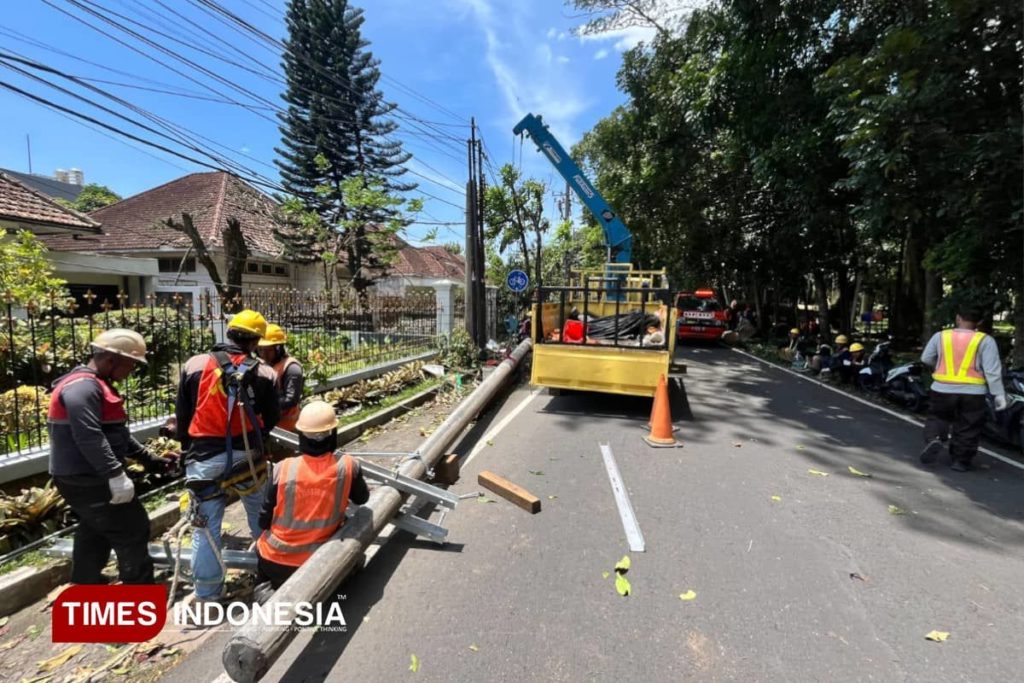 Cuaca Ekstrem Mengguncang Indonesia: Tanaman Tumbang, Listrik Padam, dan Harga Sayur Meroket