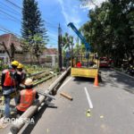 Cuaca Ekstrem Mengguncang Indonesia: Tanaman Tumbang, Listrik Padam, dan Harga Sayur Meroket