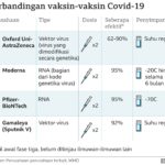 Ekstradisi Hacker China: Italia Seret Xu Zewei ke AS atas Pencurian Data Vaksin COVID-19