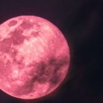 Fenomena Pink Moon Mengguncang Dunia: Dari Ilmu Astronomi hingga Drama K-Pop di Amazing Saturday