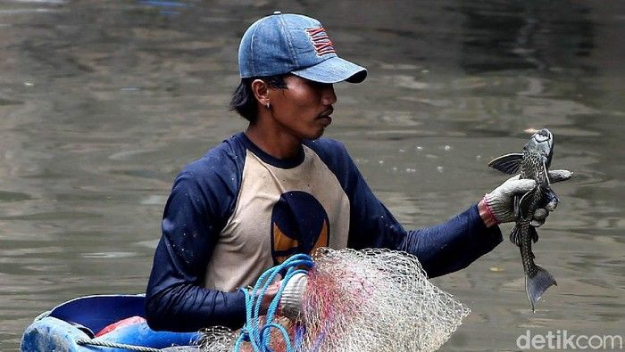 Ikan Mujair Hampir Punah di Ciliwung, Sapu‑Sapu Menguasai Pancingan Warga!
