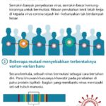 Misteri Cicada: Varian Baru Covid-19 yang Mengguncang Dunia