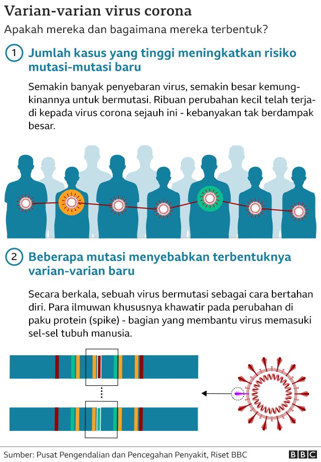 Misteri Cicada: Varian Baru Covid-19 yang Mengguncang Dunia