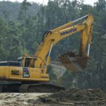 Mungkinkah Papua Nemangkawi Jadi Provinsi Baru? Analisis Satu Kabupaten, Proyek Strategis, dan Dana Otsus