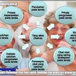 Skema Tarif HK$2 Berganti: Dampak pada Lansia, Penyelamatan Hiu, dan Dorongan Bioteknologi Hong Kong