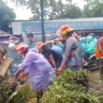 Tragedi Pohon Tumbang di Caringin: Pengemudi Suzuki Carry Meninggal di Lokasi Kejadian