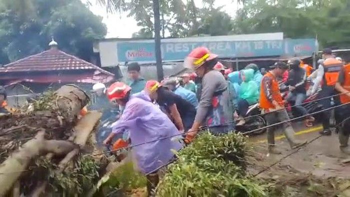 Tragedi Pohon Tumbang di Caringin: Pengemudi Suzuki Carry Meninggal di Lokasi Kejadian