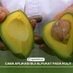 featured_image