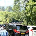 featured_image