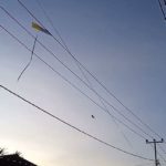 featured_image