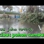 featured_image