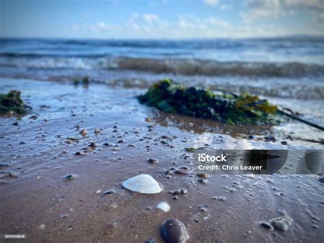 featured_image