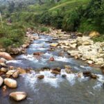 featured_image