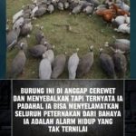 featured_image