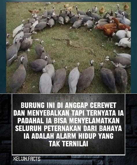 featured_image