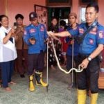 featured_image
