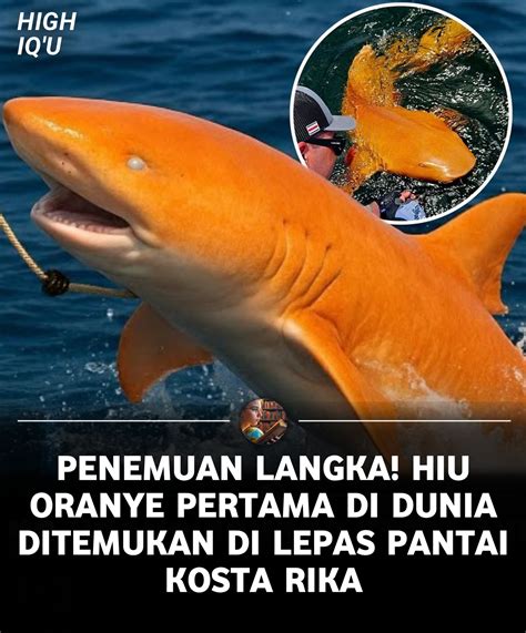 featured_image