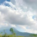 featured_image