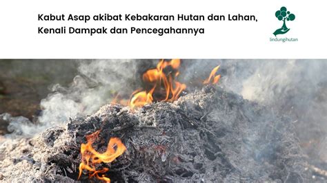 featured_image