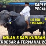 featured_image