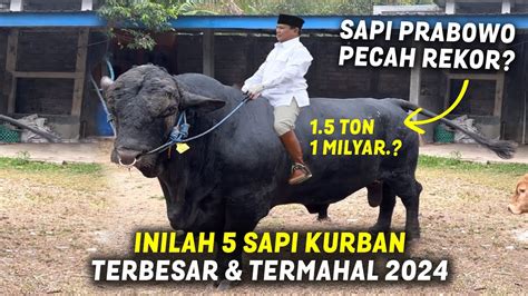 featured_image