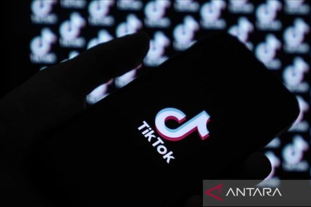 PP Tunas Ungkap: Roblox Hilangkan Fitur Chat, TikTok Tutup 1,7 Juta Akun dalam Sekejap!