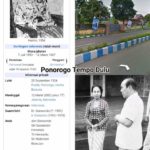 featured_image