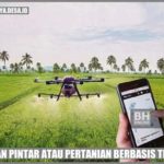 featured_image