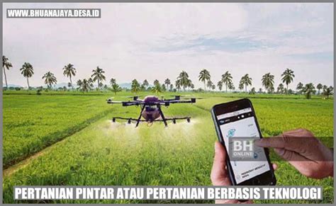 featured_image