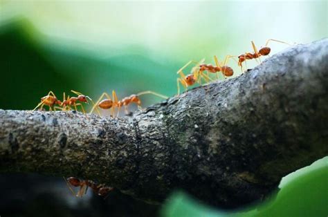 featured_image