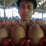 featured_image