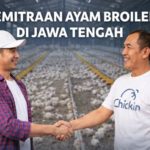 featured_image