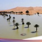 featured_image