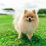 featured_image