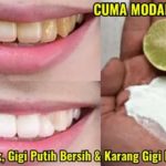 featured_image
