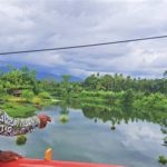 featured_image