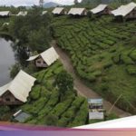 featured_image