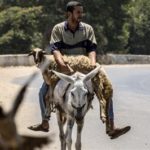 featured_image