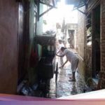 featured_image