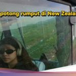 featured_image