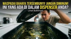 featured_image