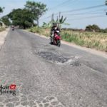 featured_image