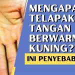 featured_image