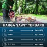 featured_image